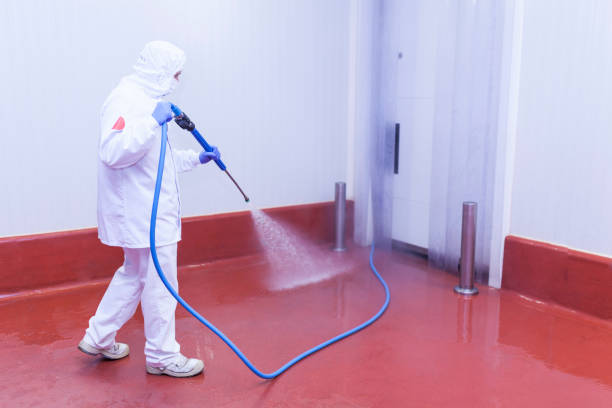 Best Oil Spill Cleanup  in Plain City, UT